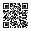 QR Code (код быстрого отклика)