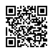 QR Code (код быстрого отклика)