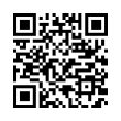 QR Code (код быстрого отклика)