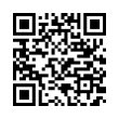 QR Code (код быстрого отклика)