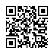 QR Code (код быстрого отклика)