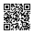 QR Code (код быстрого отклика)