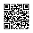 QR Code (код быстрого отклика)