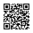 QR Code (код быстрого отклика)