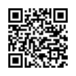 QR Code (код быстрого отклика)