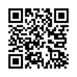 QR Code (код быстрого отклика)