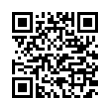 QR Code (код быстрого отклика)