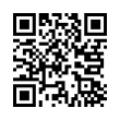 QR Code (код быстрого отклика)