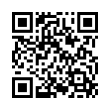 QR Code (код быстрого отклика)