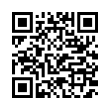 QR Code (код быстрого отклика)