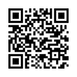 QR Code (код быстрого отклика)