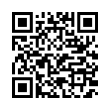 QR Code (код быстрого отклика)