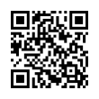 QR Code (код быстрого отклика)