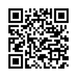 QR Code (код быстрого отклика)