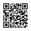 QR Code (код быстрого отклика)