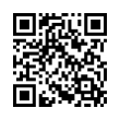 QR Code (код быстрого отклика)