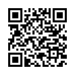 QR Code (код быстрого отклика)