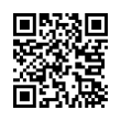 QR Code (код быстрого отклика)