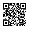 QR Code (код быстрого отклика)