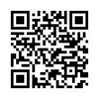 QR Code (код быстрого отклика)
