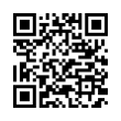 QR Code (код быстрого отклика)