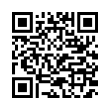 QR Code (код быстрого отклика)