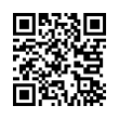 QR Code (код быстрого отклика)