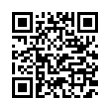 QR Code (код быстрого отклика)