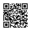 QR Code (код быстрого отклика)