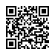 QR Code (код быстрого отклика)