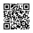 QR Code (код быстрого отклика)