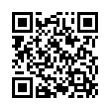 QR Code (код быстрого отклика)