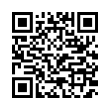 QR Code (код быстрого отклика)