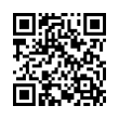 QR Code (код быстрого отклика)