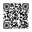 QR Code (код быстрого отклика)