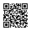 QR Code (код быстрого отклика)