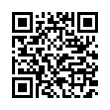 QR Code (код быстрого отклика)