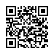 QR Code (код быстрого отклика)