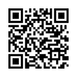 QR Code (код быстрого отклика)