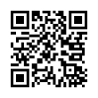 QR Code (код быстрого отклика)