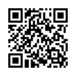 QR Code (код быстрого отклика)