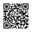 QR Code (код быстрого отклика)