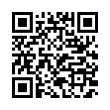 QR Code (код быстрого отклика)