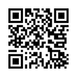 QR Code (код быстрого отклика)