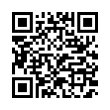 QR Code (код быстрого отклика)