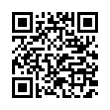 QR Code (код быстрого отклика)