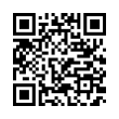 QR Code (код быстрого отклика)