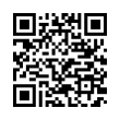 QR Code (код быстрого отклика)