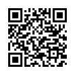 QR Code (код быстрого отклика)