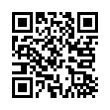 QR Code (код быстрого отклика)